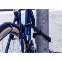 AbusACH IVY 6KS/100 - Antivol vélo