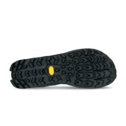 AltraLone Peak 9+ GTX - Chaussures trail homme