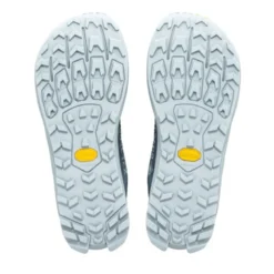 AltraLone Peak 9+ GTX - Chaussures trail femme