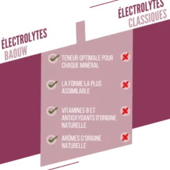 BaouwMûre-Cassis - Boisson énergétique