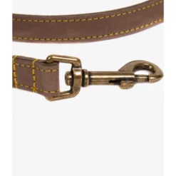 BarbourLeather Dog Lead - Laisse pour chien
