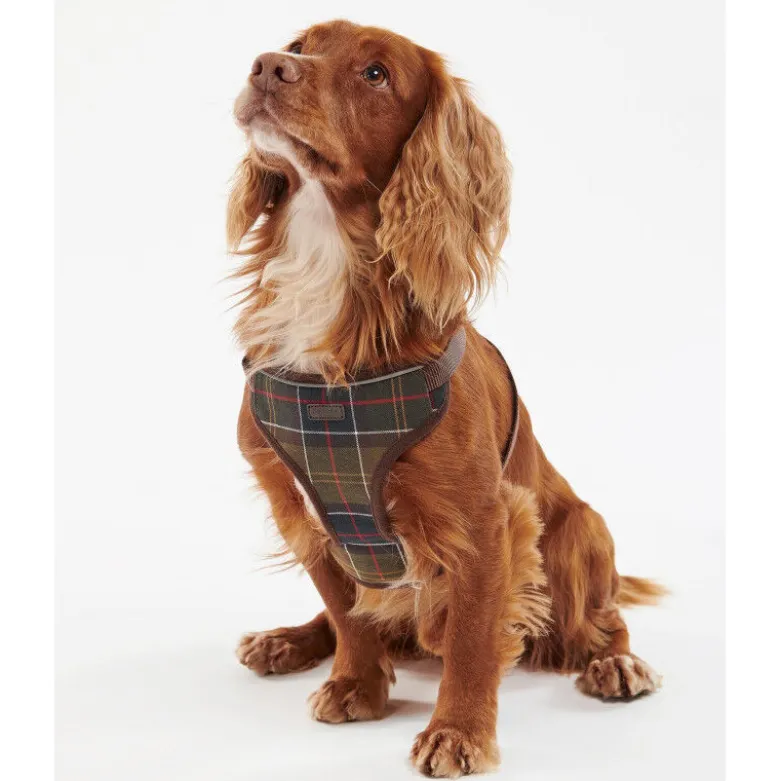 BarbourTravel And Exercise Dog Harness - Harnais pour chien