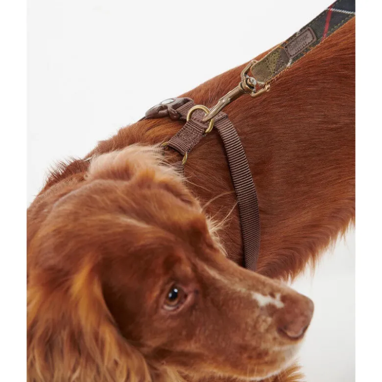 BarbourTravel And Exercise Dog Harness - Harnais pour chien