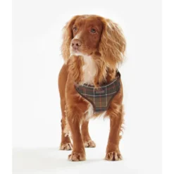 BarbourTravel And Exercise Dog Harness - Harnais pour chien