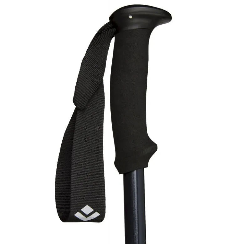 Black DiamondExplorer 2 - Bâtons randonnée