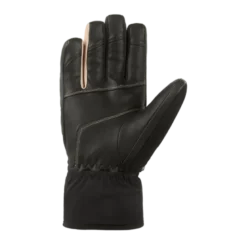 CairnNevado 2 M C-Tex Pro - Gants ski homme