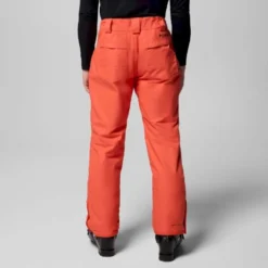 ColumbiaBugaboo V Pant - Pantalon ski homme