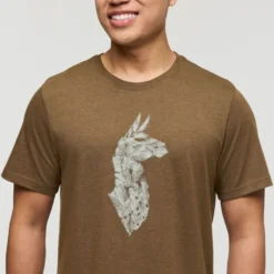 CotopaxiInto the Pines - T-shirt homme