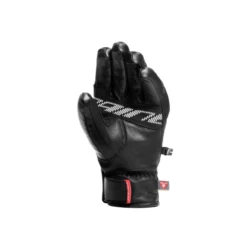 DaineseLeather Gloves - Gants ski