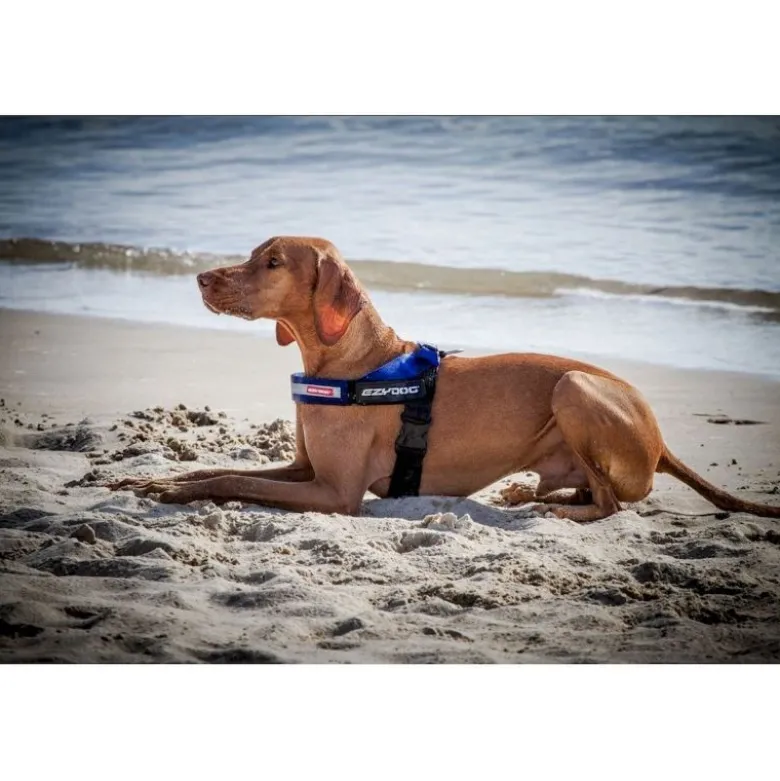 EzyDogExpress Harness - Harnais pour chien