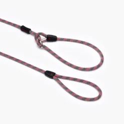 EzyDogLuca Leash - Laisse pour chien