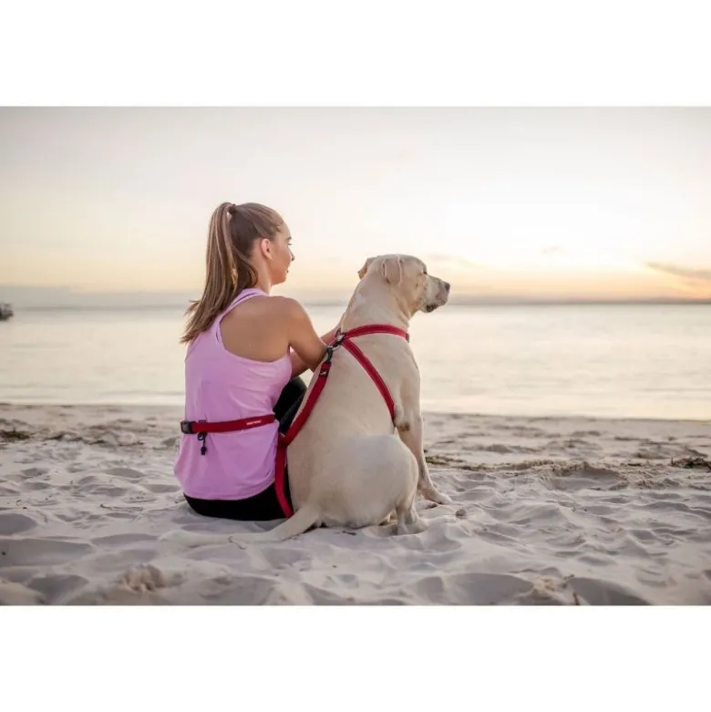 EzyDogRoad Runner Leash - Laisse canicross