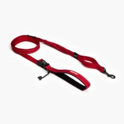 EzyDogRoad Runner Leash - Laisse pour chien