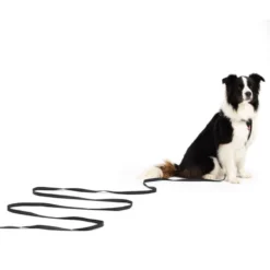 EzyDogTrack n Train - Laisse pour chien