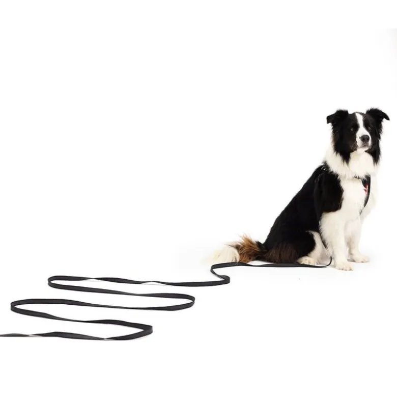 EzyDogTrack n Train - Laisse pour chien