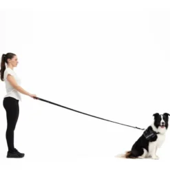 EzyDogVario 4 - Laisse pour chien
