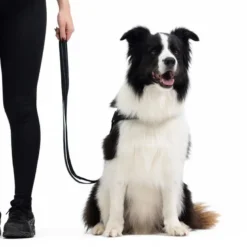 EzyDogVario 4 - Laisse pour chien