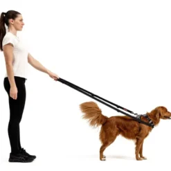 EzyDogVario 6 - Laisse pour chien