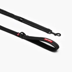 EzyDogZero Shock Leash - Laisse pour chien