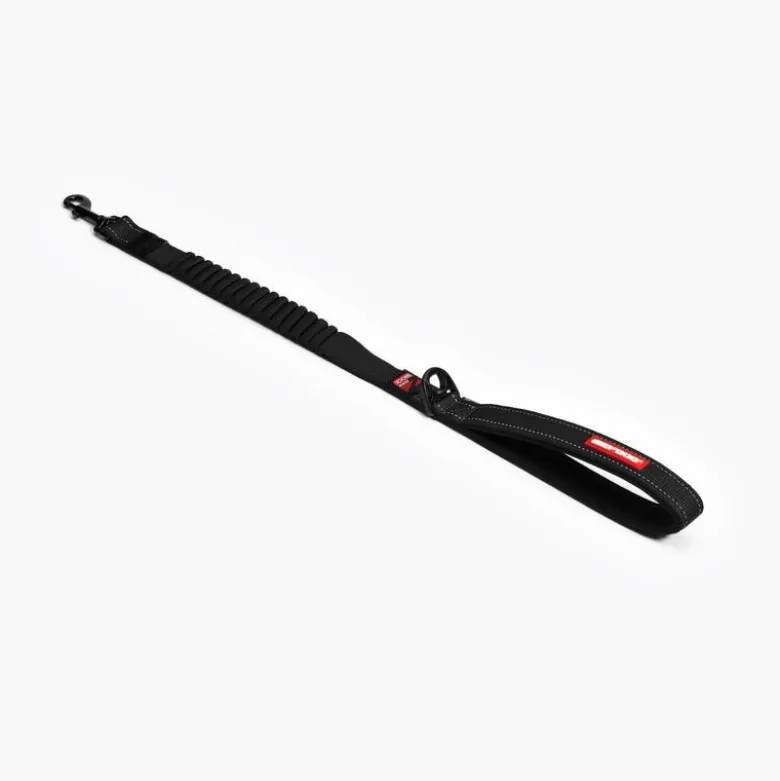 EzyDogZero Shock Leash - Laisse pour chien