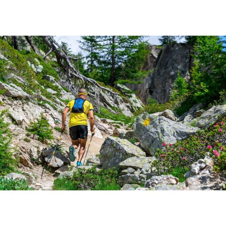 GrivelTrail 3 - Bâtons randonnée