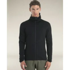icebreaker560 RealFleece Elemental II LS Zip Hoodie - Polaire en laine mérinos homme