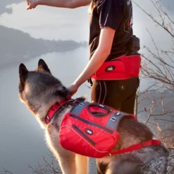 I-DogConfort Trek - Harnais pour chien