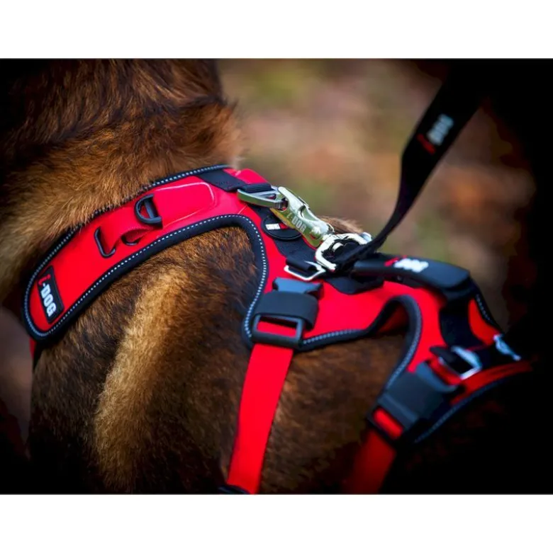 I-DogConfort Trek - Harnais pour chien