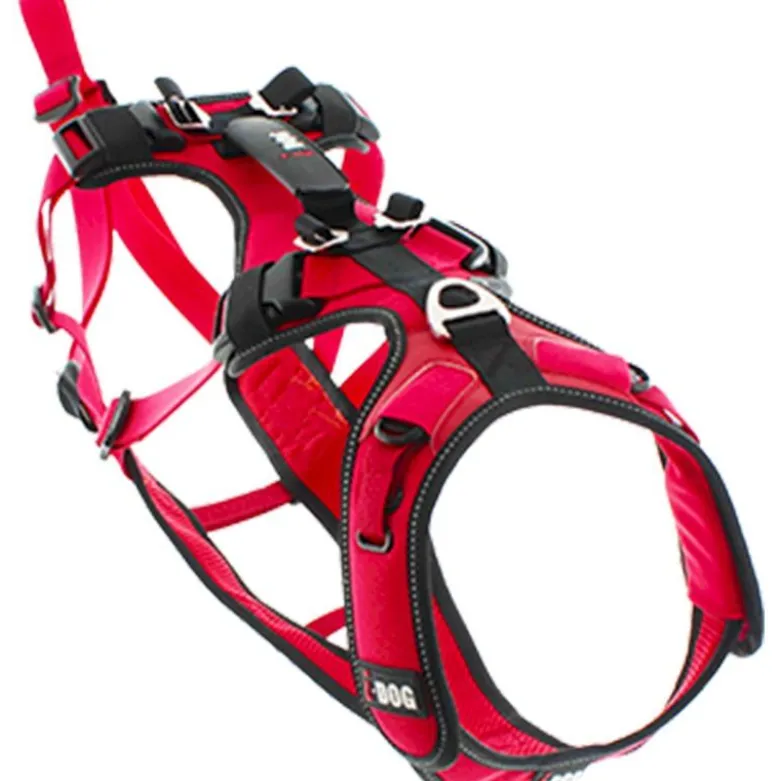 I-DogConfort Trek - Harnais pour chien
