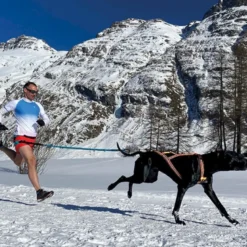 I-DogX-Back One 2.0 - Harnais pour chien