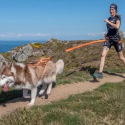 I-DogX-Back One 2.0 - Harnais pour chien
