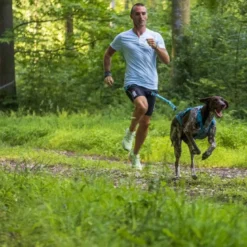 I-DogX-Back Phoenix ALM - Harnais pour chien