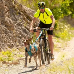 I-DogX-Back Phoenix ALM - Harnais pour chien