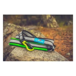 InlandsisPolaris Evo - Laisse canicross
