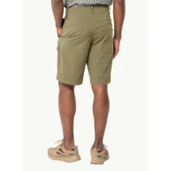 Jack WolfskinDesert Shorts - Short randonnée homme