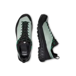 MammutAlnasca IV Low GTX - Chaussures approche homme