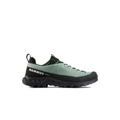 MammutAlnasca IV Low GTX - Chaussures approche homme