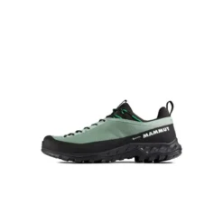 MammutAlnasca IV Low GTX - Chaussures approche homme