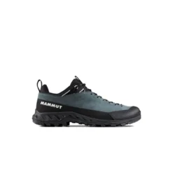 MammutAlnasca IV Low LTH - Chaussures approche homme