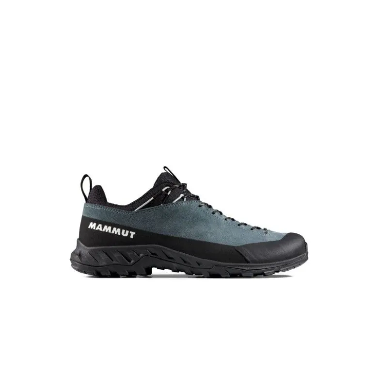 MammutAlnasca IV Low LTH - Chaussures approche homme