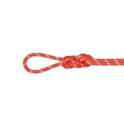 Mammut8.0 Alpine Classic - Corde escalade