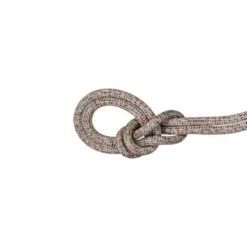 Mammut8.0 Alpine Core Protect Dry - Corde escalade