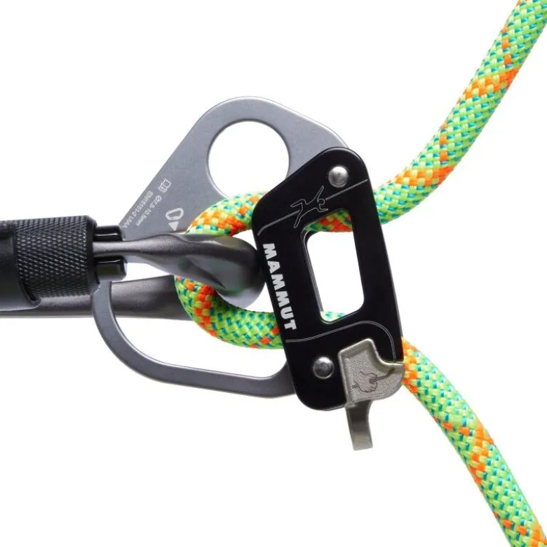 Mammut8.0 Alpine Dry - Corde à double