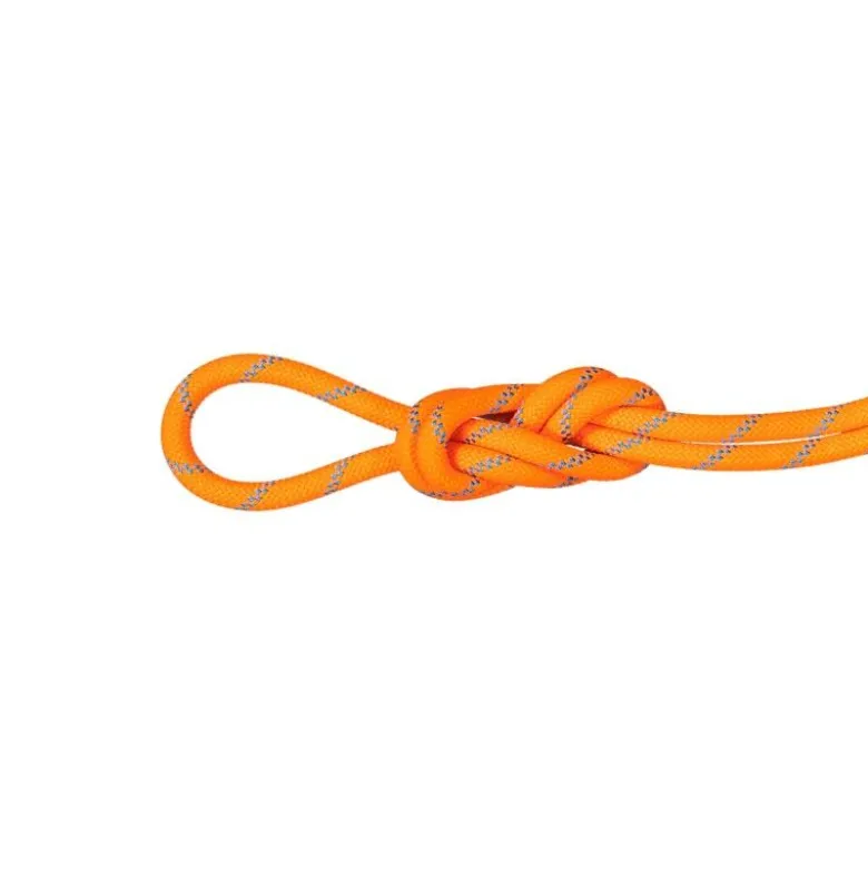 Mammut8.7 Alpine Sender Dry - Corde à double