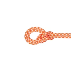 Mammut9.5 Crag Classic - Corde à simple