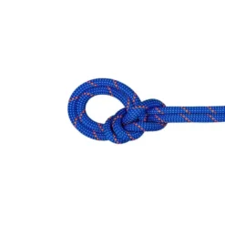 Mammut9.5 Crag Dry - Corde à simple