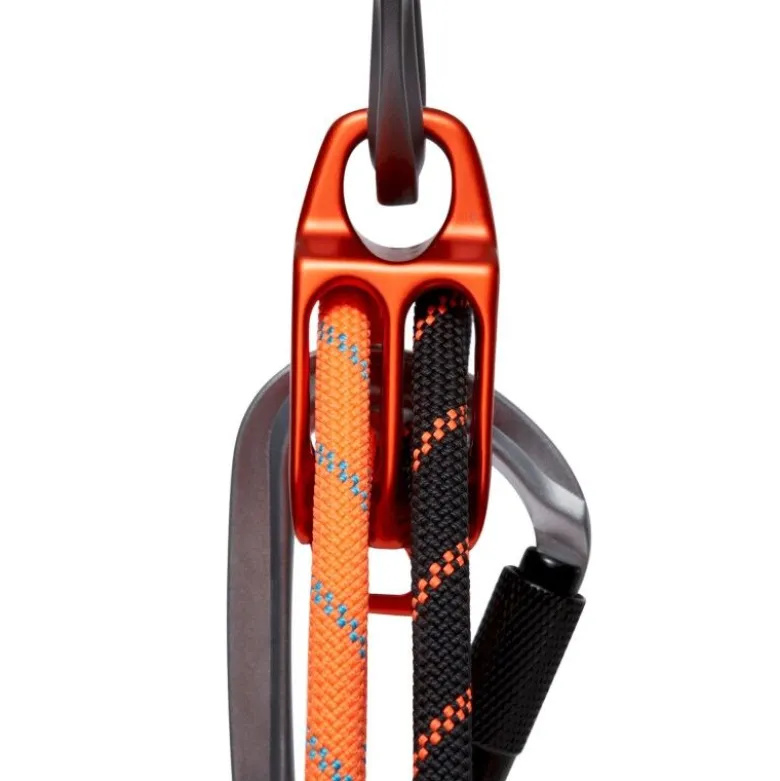 MammutWall Alpine - Assureur