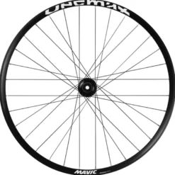 MavicDeemax Park 29 | 12 x 148 mm Boost - Roue arrière VTT 29"