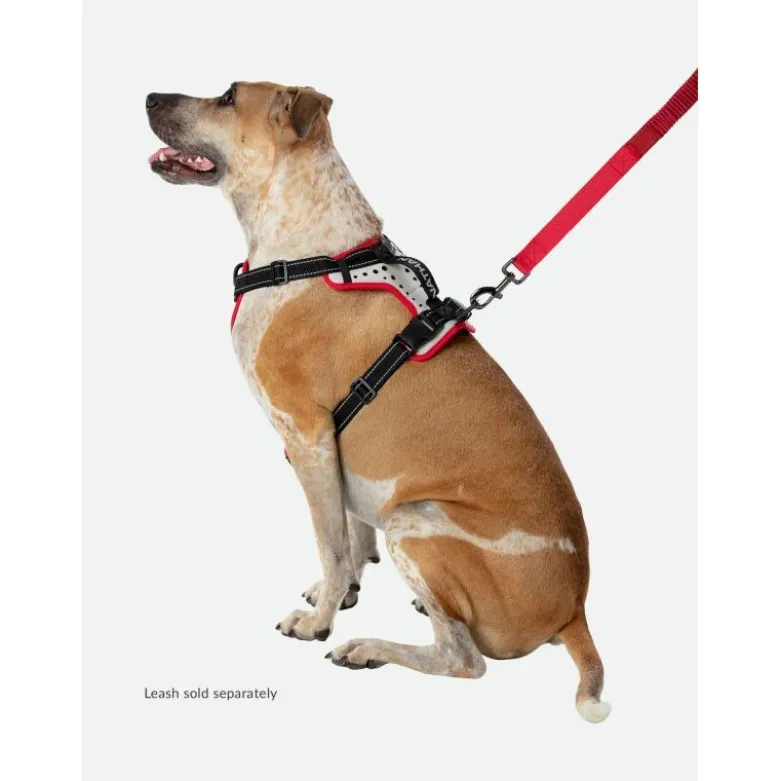 NathanK9 Reflective Dog Harness - Harnais pour chien