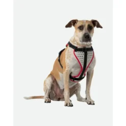 NathanK9 Reflective Dog Harness - Harnais pour chien